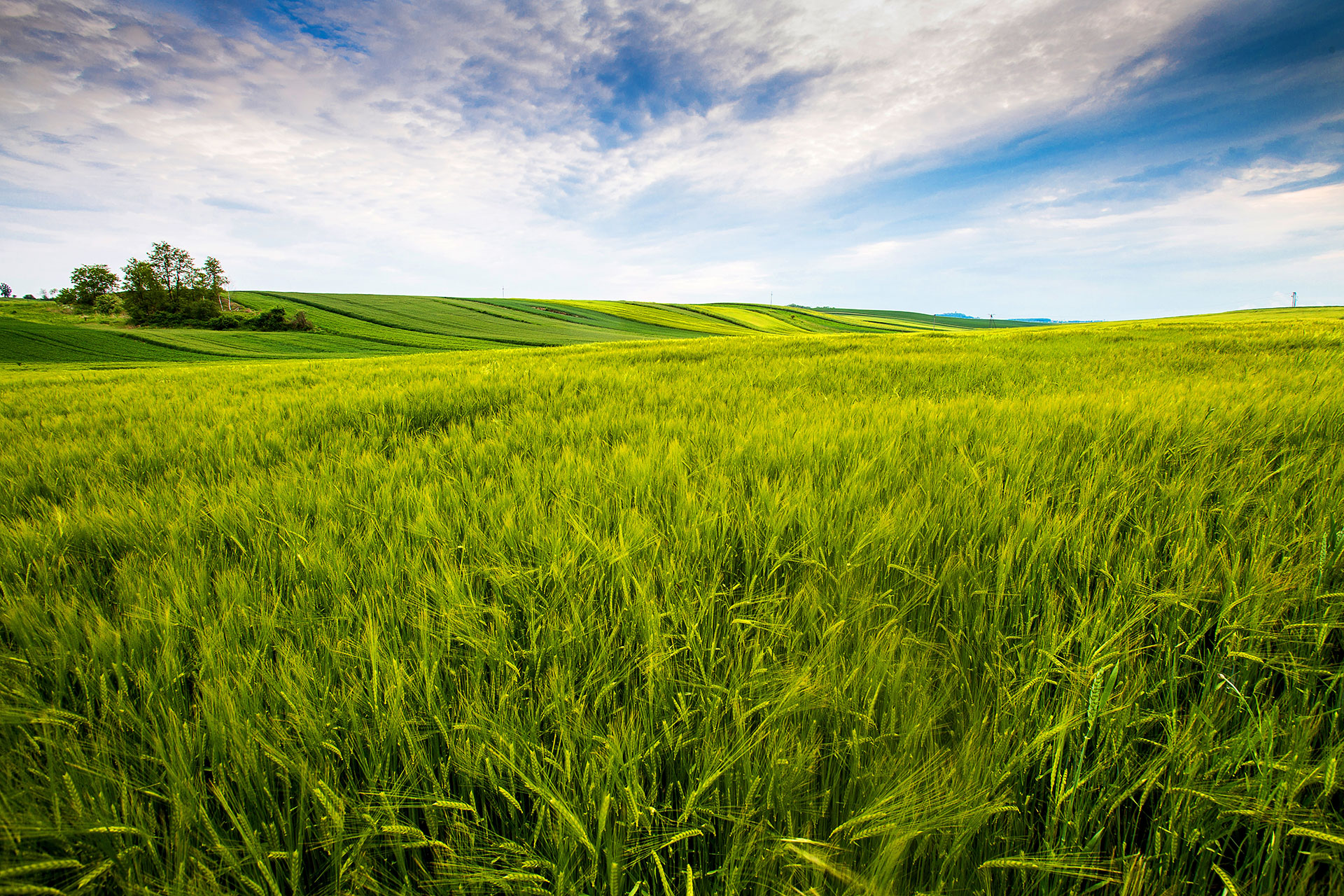 countryside